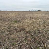Merrick County Recreation