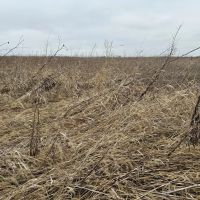 Merrick County Recreation images 4