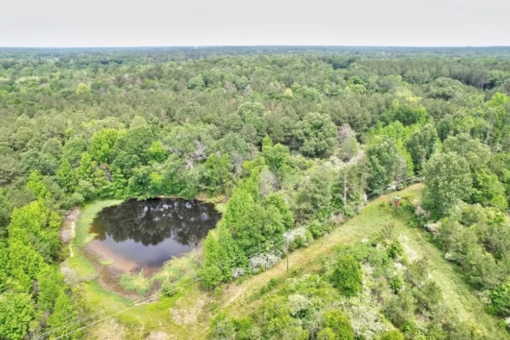 Hunting and Timber Property Just over the LA Line in McComb featured image