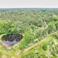 Hunting and Timber Property Just over the LA Line in McComb