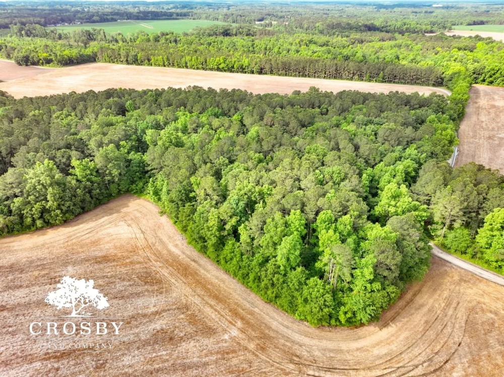 Penn Brook Road featured image