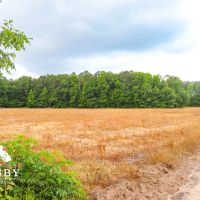 Penn Brook Road images 2
