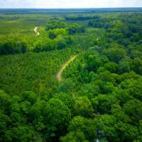 Hunting Haven on the Ocmulgee river images 2