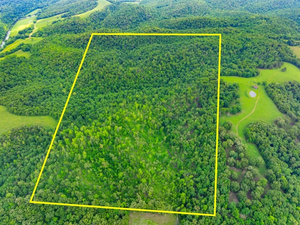 80 - Acres Hunters Paradise Timberland Batesville Arkansas featured image