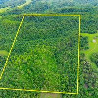80 - Acres Hunters Paradise Timberland Batesville Arkansas