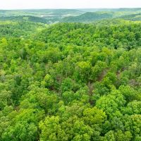 80 - Acres Hunters Paradise Timberland Batesville Arkansas images 2