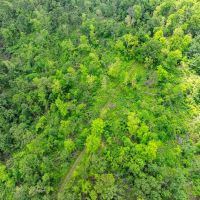 80 - Acres Hunters Paradise Timberland Batesville Arkansas images 3