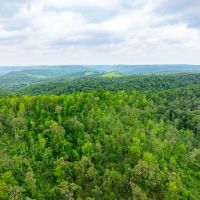 80 - Acres Hunters Paradise Timberland Batesville Arkansas images 4