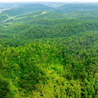80 - Acres Hunters Paradise Timberland Batesville Arkansas images 5