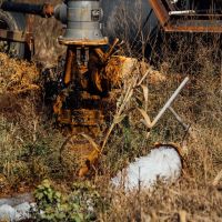 One Equity Share at Magna Vista in Issaquena County MS images 4