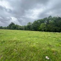 Boeuf 27 images 5