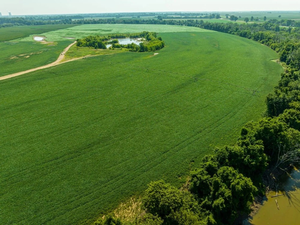 402 - Row Crop Acres Rosie AR 72571 featured image