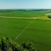 402 - Row Crop Acres Rosie AR 72571 images 2