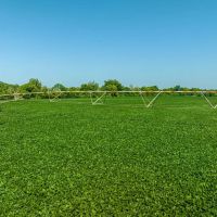402 - Row Crop Acres Rosie AR 72571 images 4