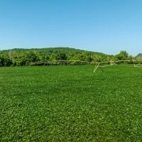 402 - Row Crop Acres Rosie AR 72571 images 5