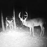 Home and 122 acres located on Jewel Drive McComb MS images 4