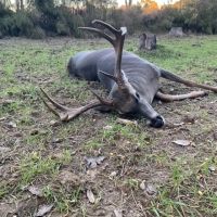 Home and 122 acres located on Jewel Drive McComb MS images 5