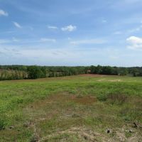 River View Farms images 5