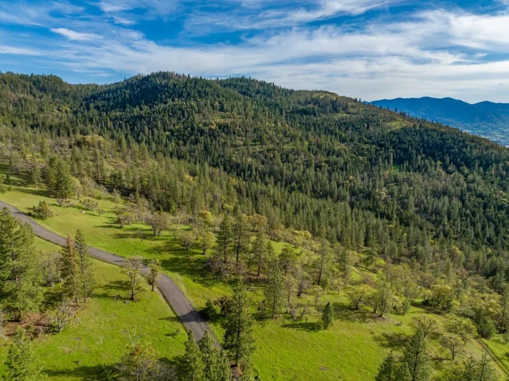 Mount Baldy Ranch featured image