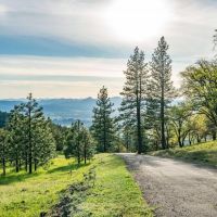 Mount Baldy Ranch images 3