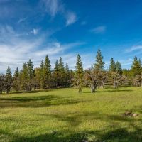 Mount Baldy Ranch images 4