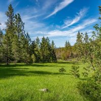 Mount Baldy Ranch images 5