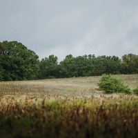 County Road 311 Linn MO images 5