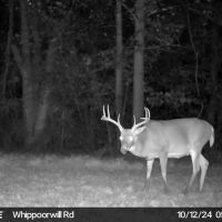 Twp Rd 396 - 80 acres - Monroe County images 2