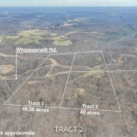 Twp Rd 396 - 80 acres - Monroe County images 5