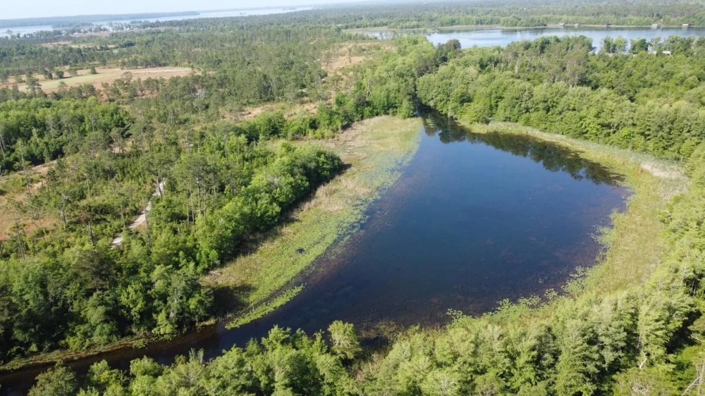 Spring Creek Cove on Lake Seminole featured image