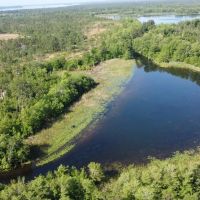 Spring Creek Cove on Lake Seminole images 1