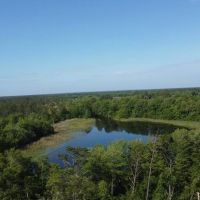 Spring Creek Cove on Lake Seminole images 3