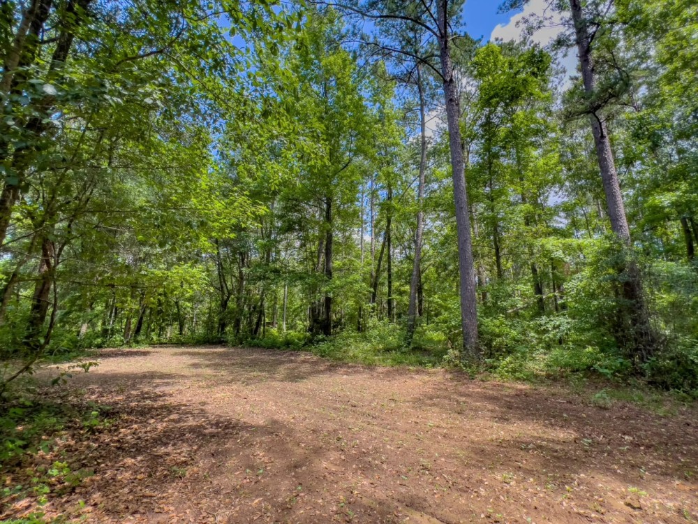 106 Ac Hunting Jefferson Co. FL featured image