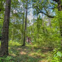 106 Ac Hunting Jefferson Co. FL images 3