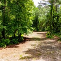106 Ac Hunting Jefferson Co. FL images 5