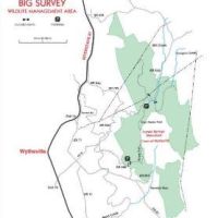 7,500-acre Big Survey WMA - Turkey hunting land in Wythe, VA