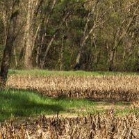 Prime Real Estate for Sale in Iowa County Wisconsin images 4