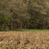 Prime Real Estate for Sale in Iowa County Wisconsin images 5