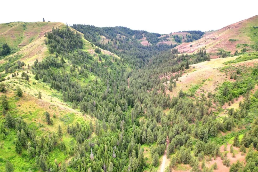 Little Elk Creek featured image
