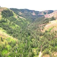 Little Elk Creek images 1