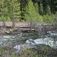 Little Elk Creek images 3
