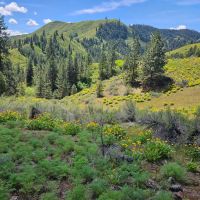 Little Elk Creek images 4