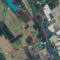 95.682 acres of Agricultural Hunting Recreational Residential and Timberland For Sale in Accomack County VA