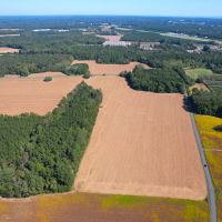 95.682 acres of Agricultural Hunting Recreational Residential and Timberland For Sale in Accomack County VA images 2