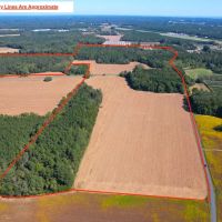 95.682 acres of Agricultural Hunting Recreational Residential and Timberland For Sale in Accomack County VA images 3