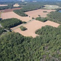 95.682 acres of Agricultural Hunting Recreational Residential and Timberland For Sale in Accomack County VA images 4