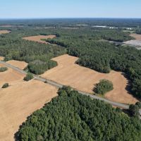 95.682 acres of Agricultural Hunting Recreational Residential and Timberland For Sale in Accomack County VA images 5