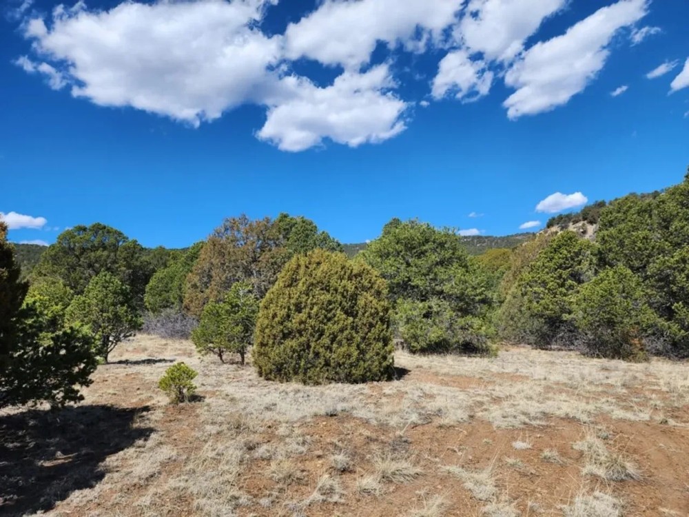 2 Picketwire Ranch featured image