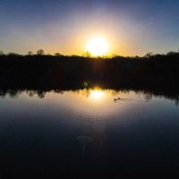 378 Acres of Land for Sale in Milo Missouri
