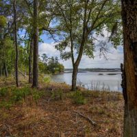 Sheffield Island on Sadlers Creek Bluff images 1